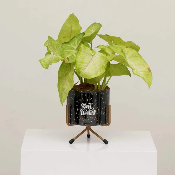 Premium_Quality_Metal_Flower_Plant_Pot_Stand