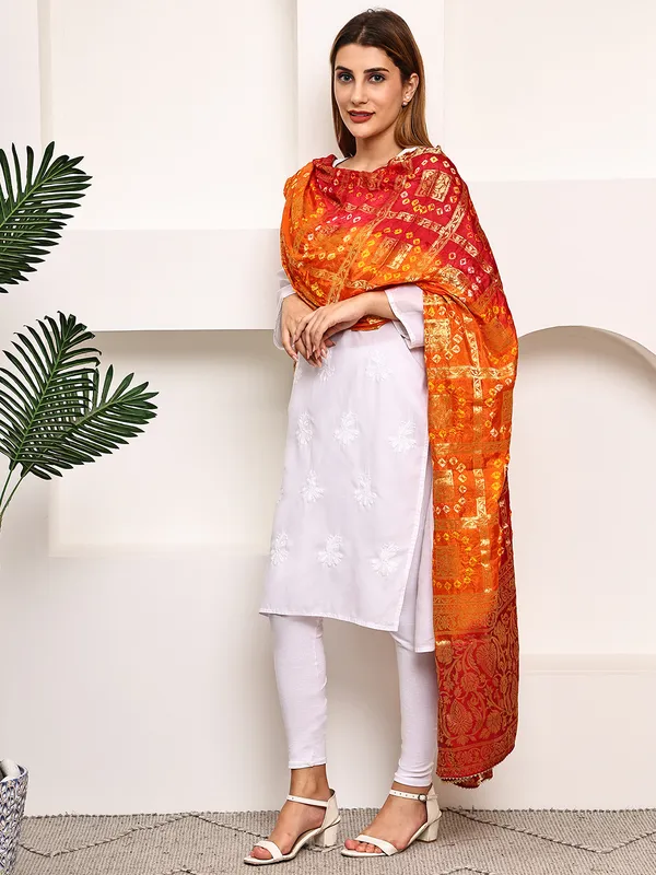 Red_Banarasi_Silk_Hand_Tie-Dye_Bandhej_Dupatta