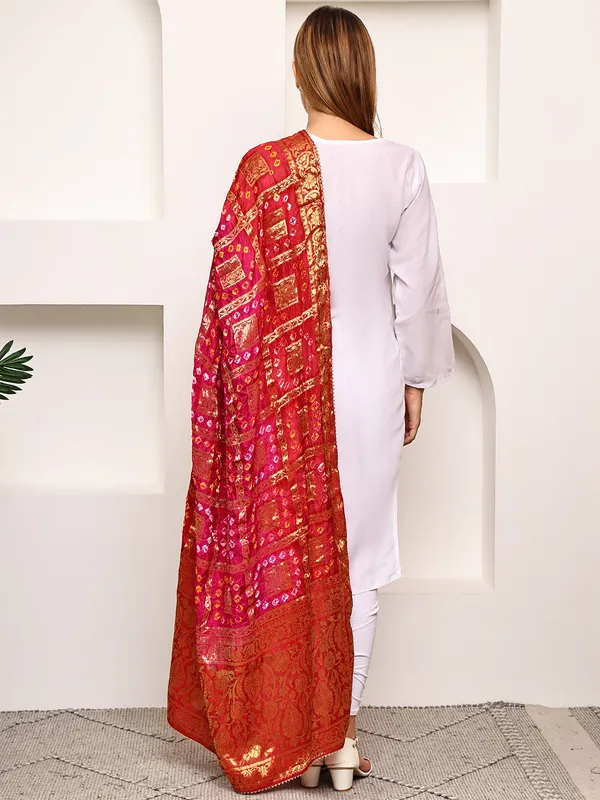 Red_Banarasi_Silk_Hand_Tie-Dye_Bandhej_Dupatta