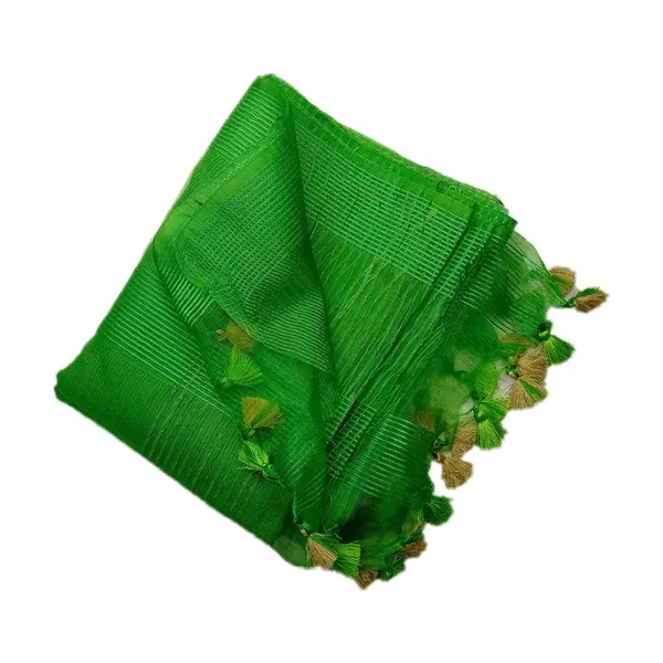 Green_Organza_Art_Silk_Saree_With_Running_Blouse_Piece_For_Women