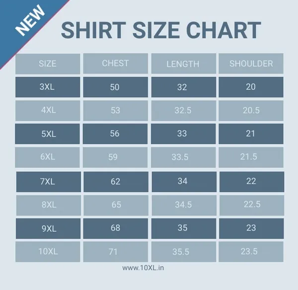 Plus_Size_Lining_Casual_Blue_Shirt_(1405)