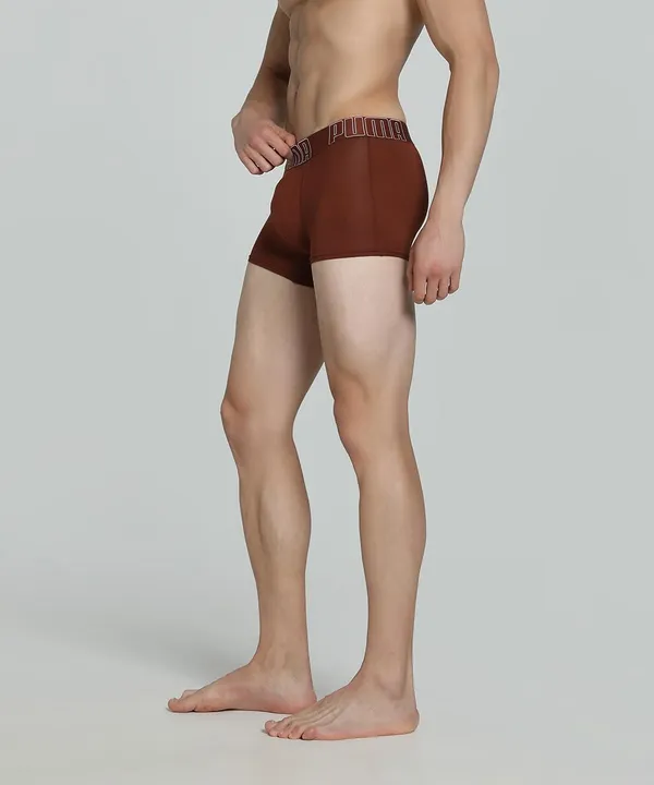 Puma_Bamboo_Men_S_Trunks_Warm_Chestnut_White