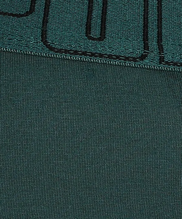 Puma_Bamboo_Men_S_Briefs_Deep_Teal_Black