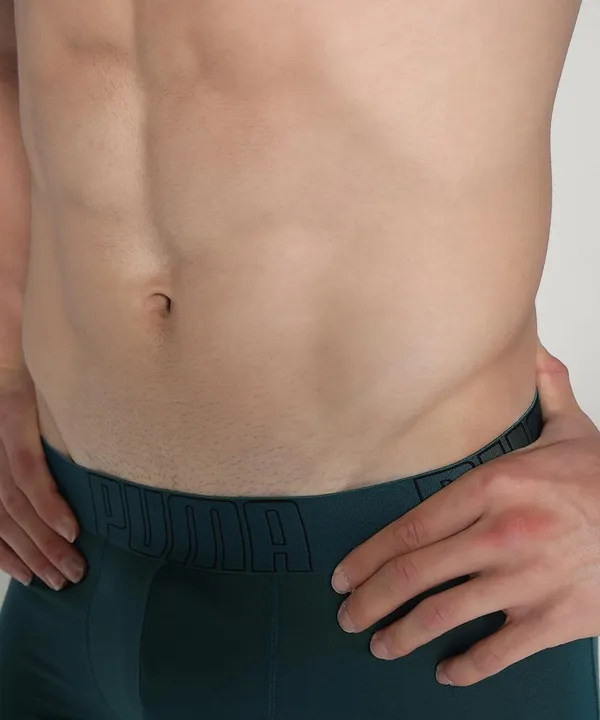 Puma_Bamboo_Men_S_Trunks_Warm_Chestnut_White