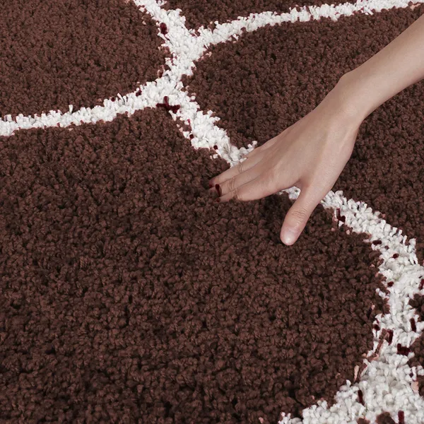 Coffee_5x7_Feet_Woolen_Shaggy_Carpet_?_Soft_&_Plush_Area_Rug