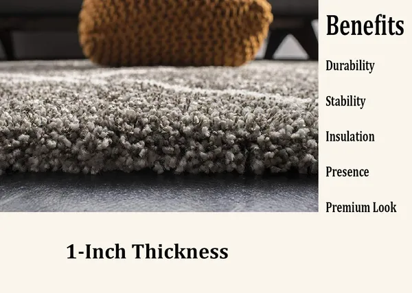 Silver_4x6_Feet_Microfiber_Shaggy_Carpet_Area_Rug