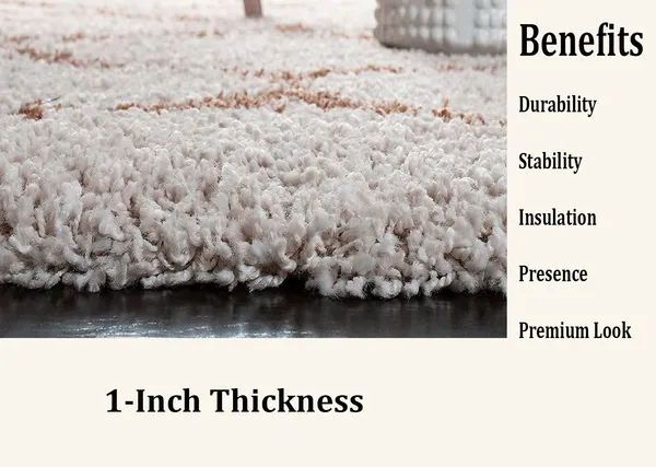 Ivory_5x7_Feet_Microfiber_Shaggy_Carpet_Area_Rug