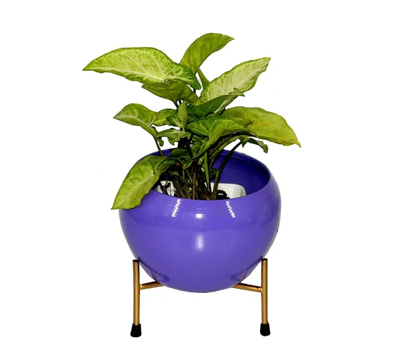 DreamKraft_Metal_Planter_with_Stand,_Purple,_16_cm