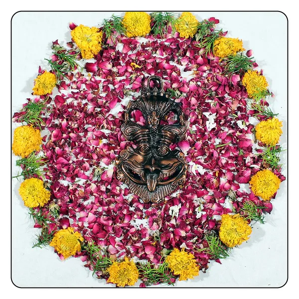 White_Metal_Wall_Mounted_Nazar_Battu_Suraksha_Kawach_Evil_Eye_Protector_Home_&_Office_Entrance_(Grey_-_16.5_x_3_x_9.5_cm)