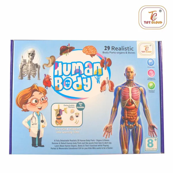 Transparent_Human_Body_Anatomy_3D_Model_with_29_Realistic_Detachable_Body_Parts_&_Bones_for_Kids_(Ages_8+),_DIY_Educational_Toy_for_Learning_Organs_System_&_Functions,_Easy_to_Assemble,_Ideal_for_Home_Learning_&_School_Projects