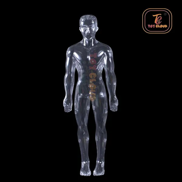 Transparent_Human_Body_Anatomy_3D_Model_with_29_Realistic_Detachable_Body_Parts_&_Bones_for_Kids_(Ages_8+),_DIY_Educational_Toy_for_Learning_Organs_System_&_Functions,_Easy_to_Assemble,_Ideal_for_Home_Learning_&_School_Projects
