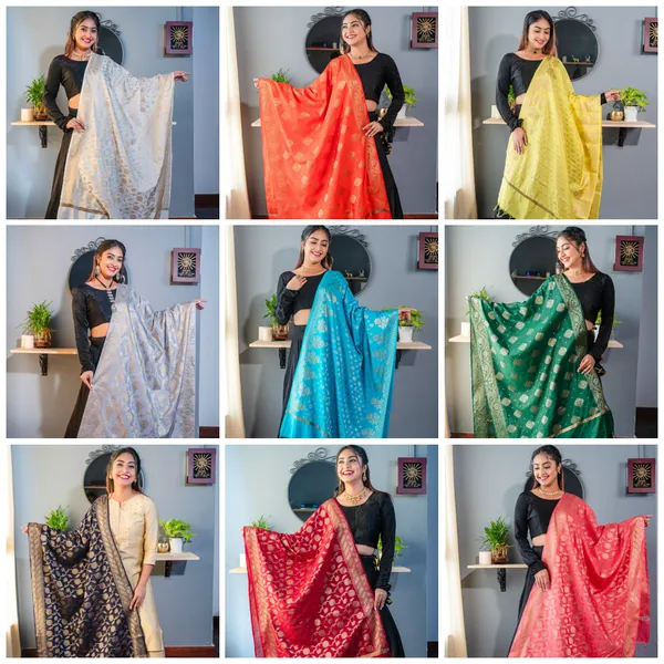 BINNI Binnis wardrobe pure dupion banarasi special nine colours
