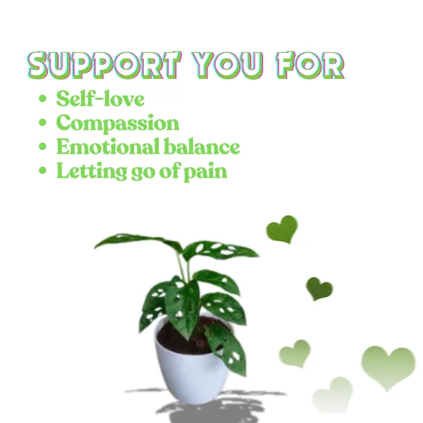 Broken_Heart_Plant_with_Pot_|_Minimalist_D�cor,_Vastu-Friendly_&_Air-Purifying_Indoor_Plant_for_Home,_Office_&_Luxury_Gifting_|_Ideal_for_modern_interiors|_Air_Purifying_Feng_Shui_Plant_|Heart-Shaped_Leaf_Plant