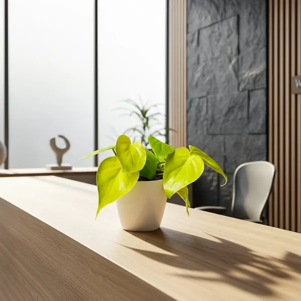 Oxicardinal_Neon_Money_Plant_with_Pot_|_Neon_Money_Plant_|_Prosperity_Plant|_Lucky_Vastu_&_Positive_Energy_Plant_|Air_Purifying_Indoor_Plant_|_Minimalist_Style_for_Home,_Office_and_Gifting_|_Money_Plant