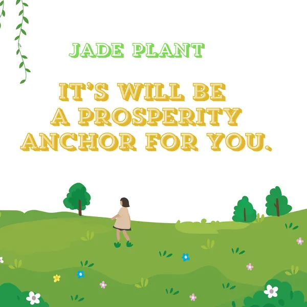 Jade_Plant_with_Pot_|_Attracts_&_builds_Wealth_Creation_for_You_|_Lucky_Vastu_Indoor_Plant_|_Minimalist_Style_for_Home,_Office_decor_and_Luxury_Sustainable_Corporate_Gifting_|_Ideal_for_Client_Appreciation_Gifts