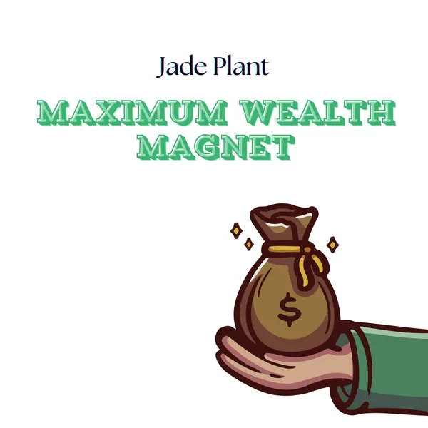 Jade_Plant_with_Pot_|_Attracts_&_builds_Wealth_Creation_for_You_|_Lucky_Vastu_Indoor_Plant_|_Minimalist_Style_for_Home,_Office_decor_and_Luxury_Sustainable_Corporate_Gifting_|_Ideal_for_Client_Appreciation_Gifts
