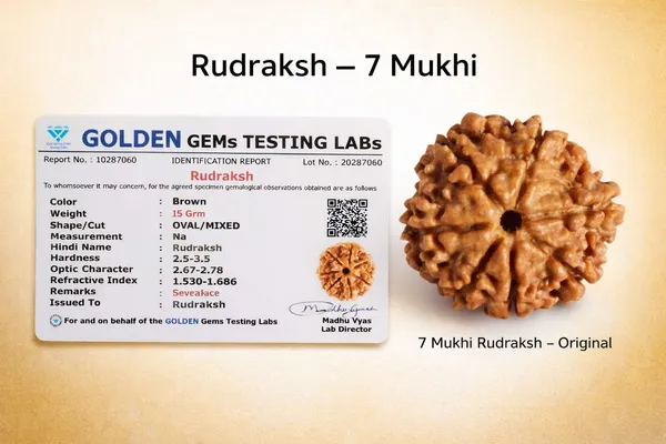 Original_7_Mukhi_Nepali_Rudraksha_(Certified)_-Wealth_&_Prosprrity_Bead