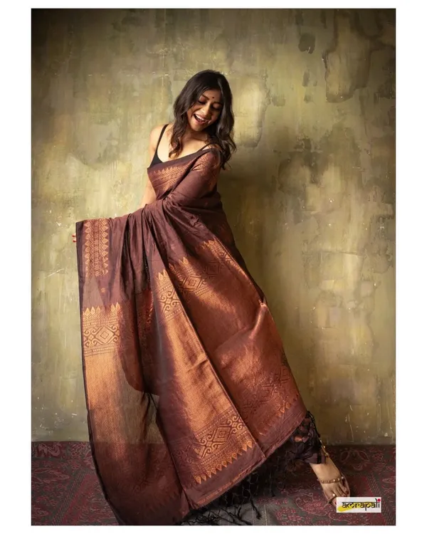 Adorning_Coffy_Soft_Banarasi_Silk_Saree_With_Classy_Blouse_Piece
