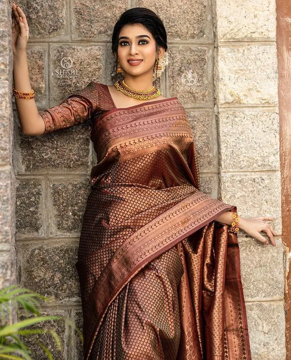 Amiable_Brown_Soft_Banarasi_Silk_Saree_With_Elision_Blouse_Piece