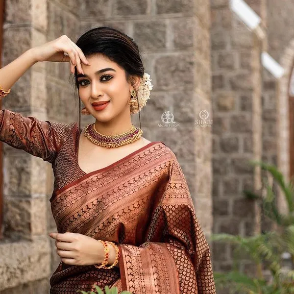 Amiable_Brown_Soft_Banarasi_Silk_Saree_With_Elision_Blouse_Piece