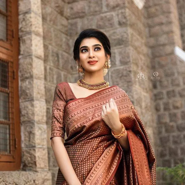 Amiable_Brown_Soft_Banarasi_Silk_Saree_With_Elision_Blouse_Piece