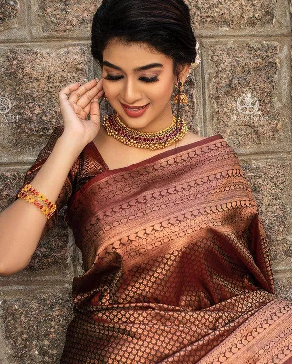 Amiable_Brown_Soft_Banarasi_Silk_Saree_With_Elision_Blouse_Piece