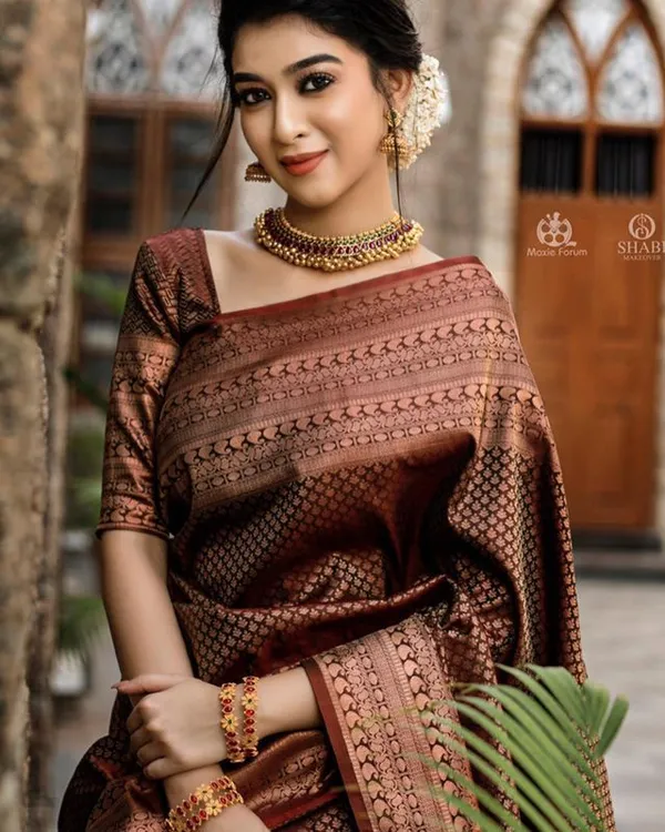 Amiable_Brown_Soft_Banarasi_Silk_Saree_With_Elision_Blouse_Piece