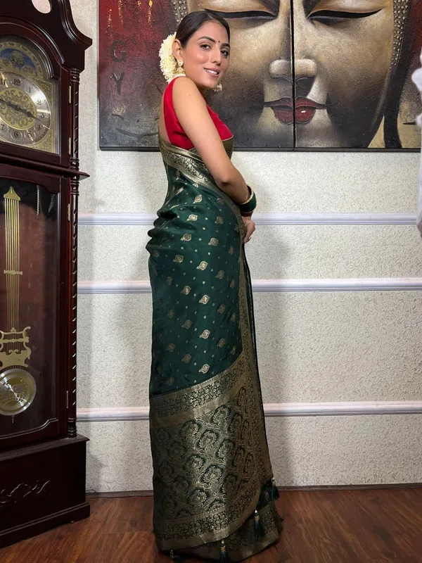 Effervescent_Soft_Banarasi_Silk_Saree_With_Elision_Blouse_Piece