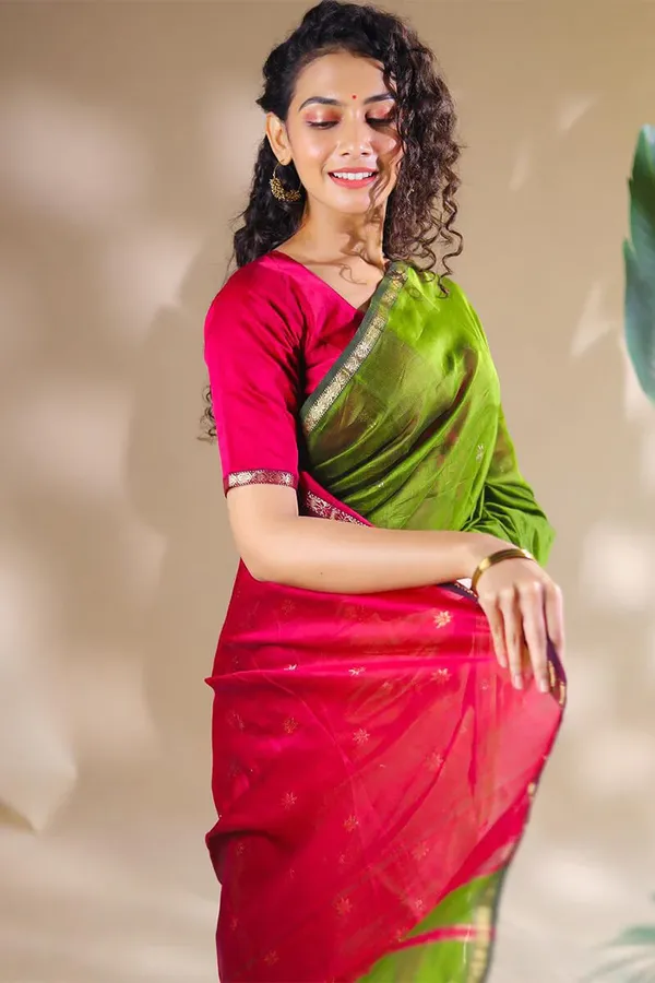 Seraglio__Cotton_Silk_Saree_With_Magnificat_Blouse_Piece