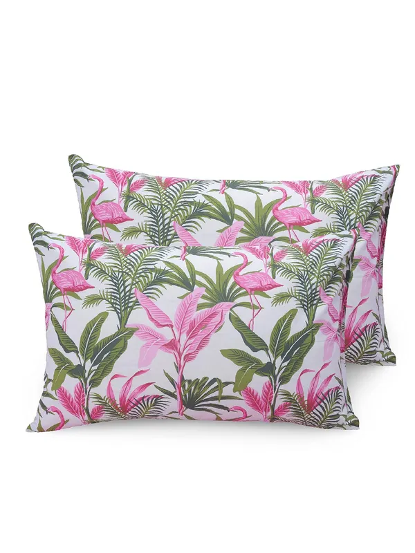 144_TC_Fitted_Single_Bedsheet_Cotton_with_1_Pillow_Cover_|_3ft_x_6.5ft_|_Flamingo_-_Pink