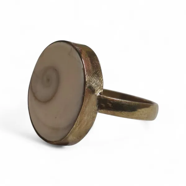 Gomati_Chakra_Lucky_Stone_Spiritual_Protection_Ring