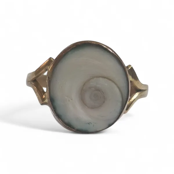 Sacred_Gomati_Chakra_Stone_Ring