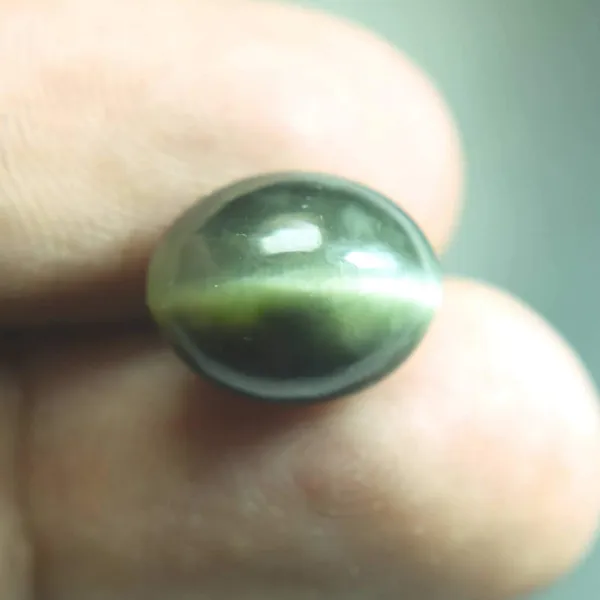 9.25_Ratti_Multicolor_Cat's_Eye_Natural_Loose_Gemstone
