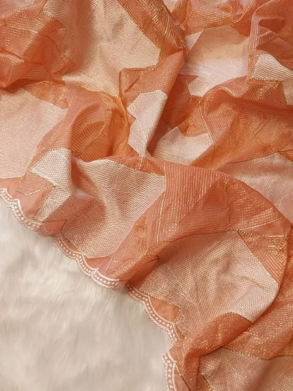 Peach_Crystal_Tissue_Silk_Embroidered_Saree