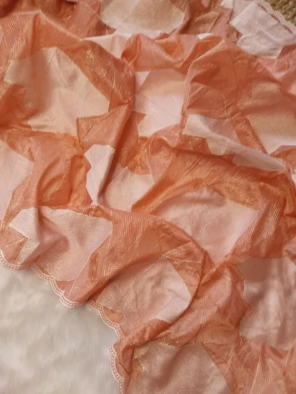 Peach_Crystal_Tissue_Silk_Embroidered_Saree