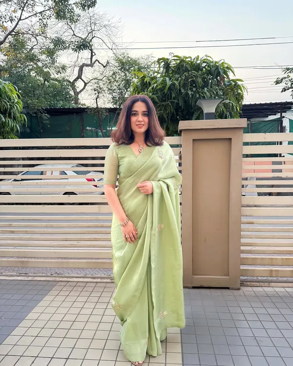 Pista_Green_Soft_Tissue_Silk_Handwork_Saree