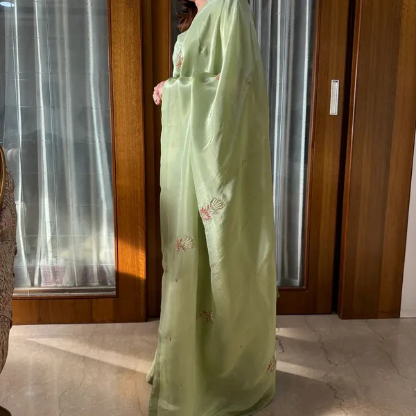 Pista_Green_Soft_Tissue_Silk_Handwork_Saree