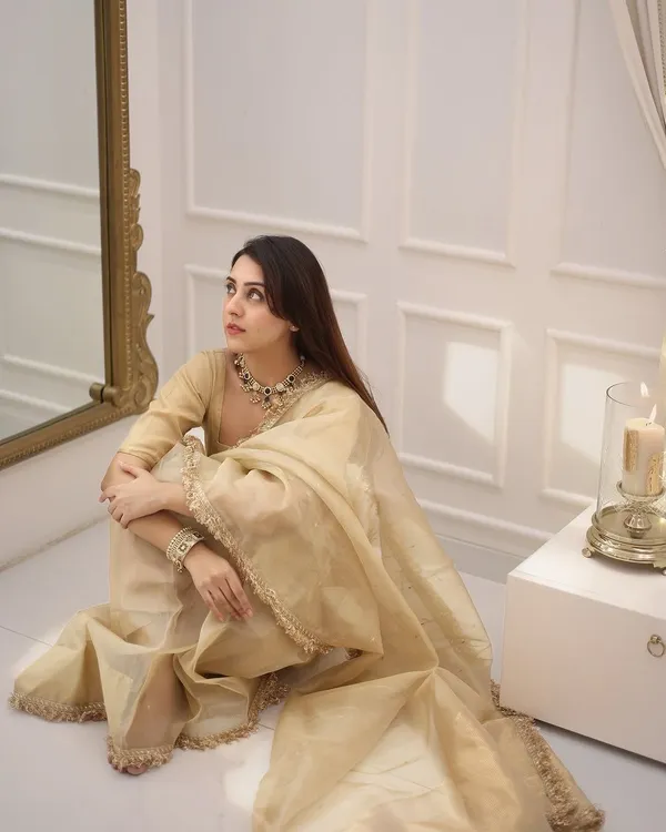 Chocolate_Soft_Tissue_Silk_Saree