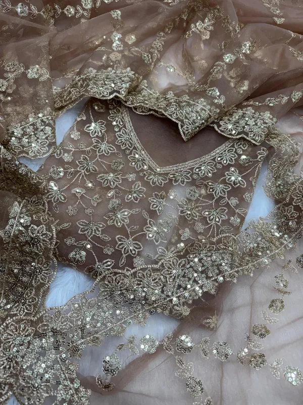 Coffee_Organza_Silk_Embroidered_Saree