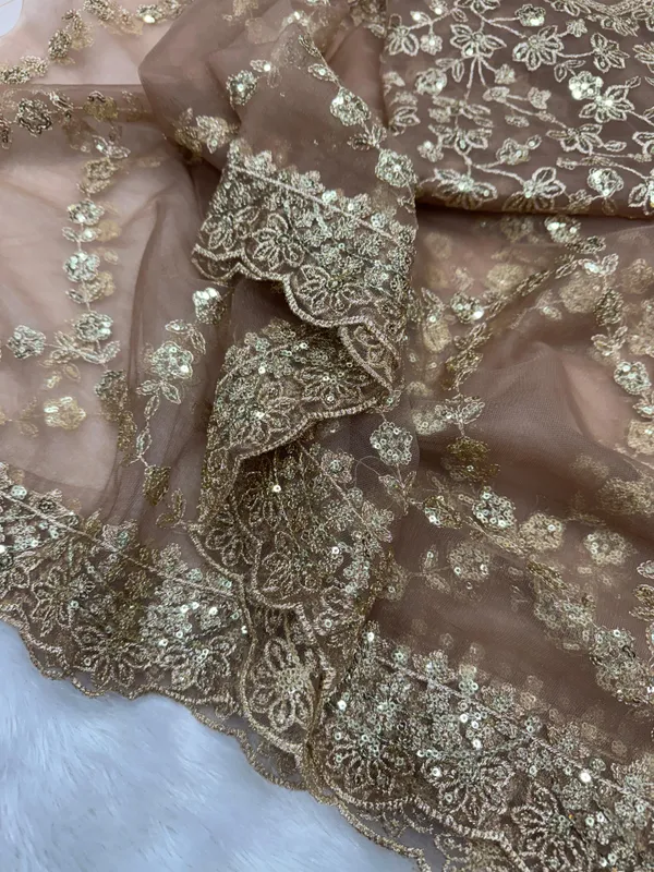 Coffee_Organza_Silk_Embroidered_Saree
