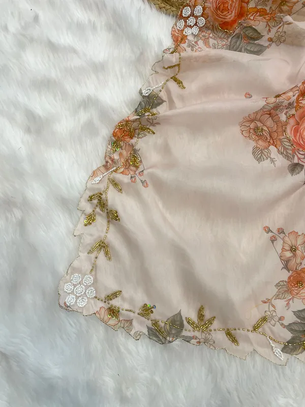 Beige_Organza_Motiwork_Embroidered_Saree