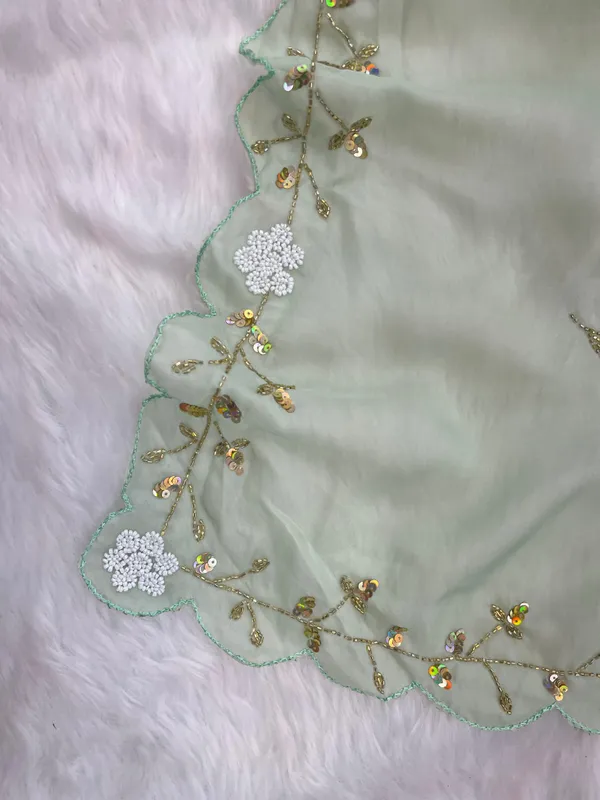 Pista_Cut_Dana_Embroidered_Designer_Saree