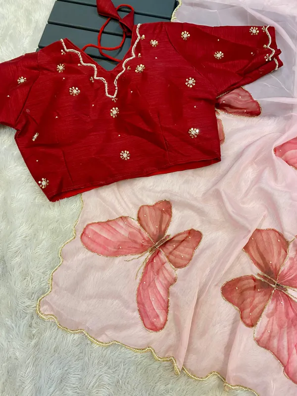 Cherry_Red_Butterfly_Handwork_Organza_Saree