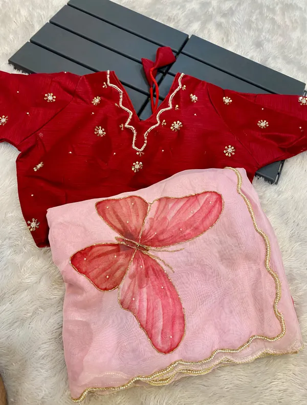 Cherry_Red_Butterfly_Handwork_Organza_Saree