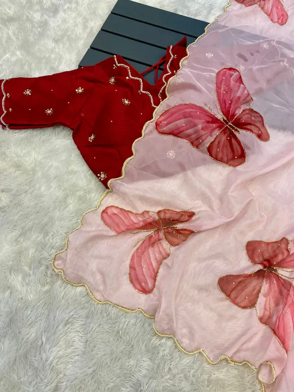 Cherry_Red_Butterfly_Handwork_Organza_Saree
