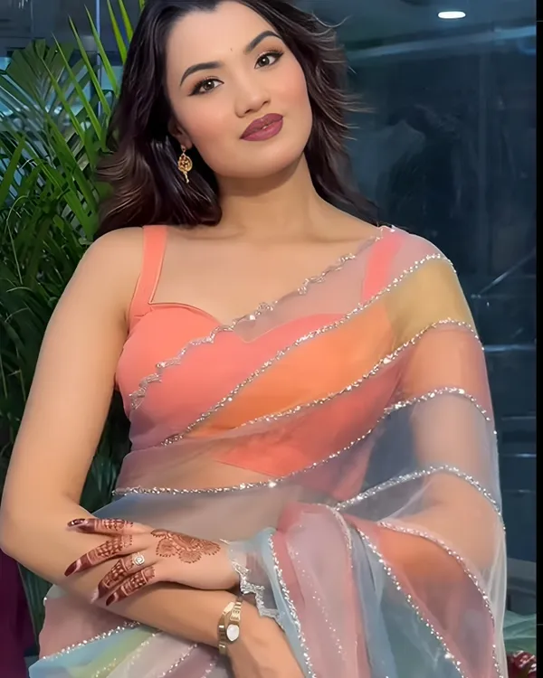 Multicolor_Soft_Organza_Silk_Designer_Saree
