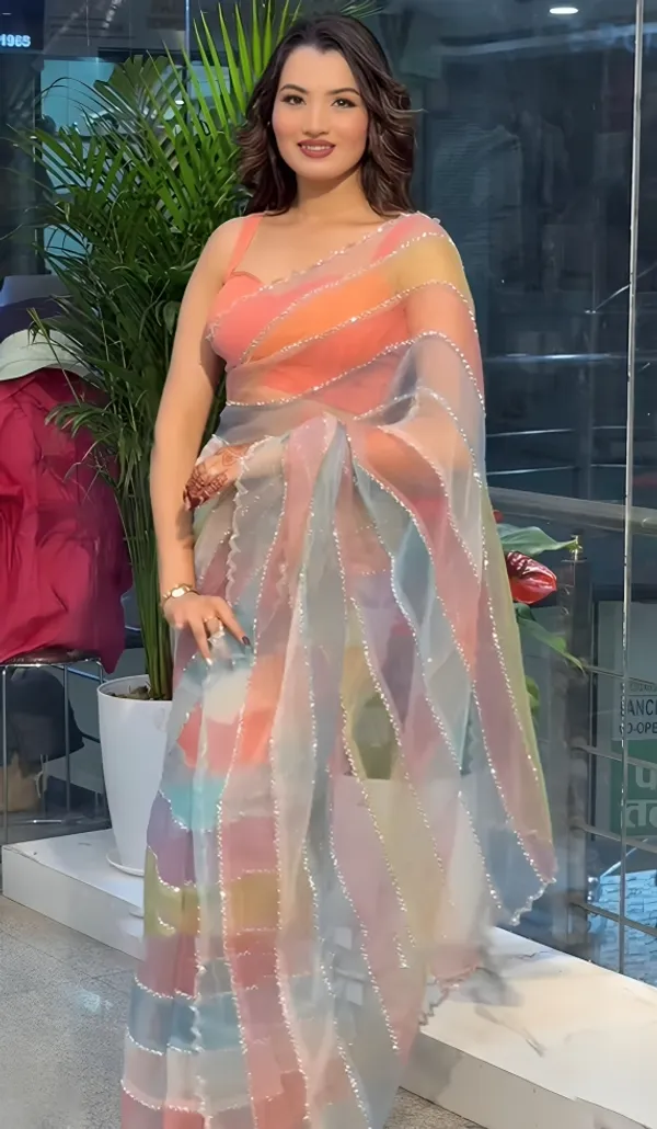 Multicolor_Soft_Organza_Silk_Designer_Saree