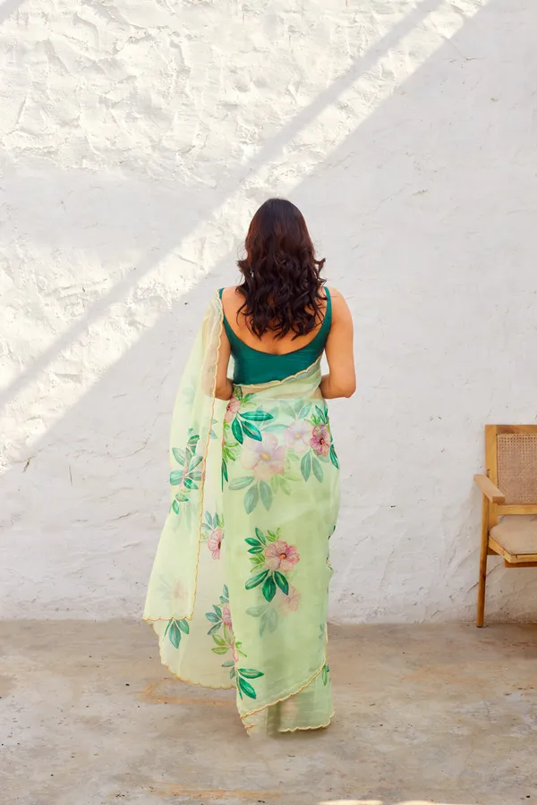 Mint_Green_Organza_Motiwork_Embroidered_Saree