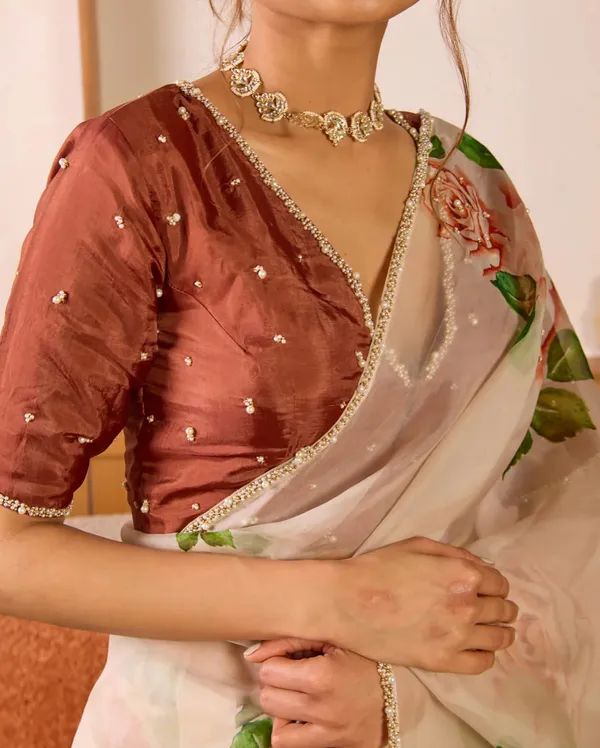 Chocolate_Organza_Motiwork_Embroidered_Saree