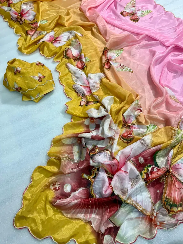 Multicolor_Katdana_and_Beads_Hand-Embroidered_Saree